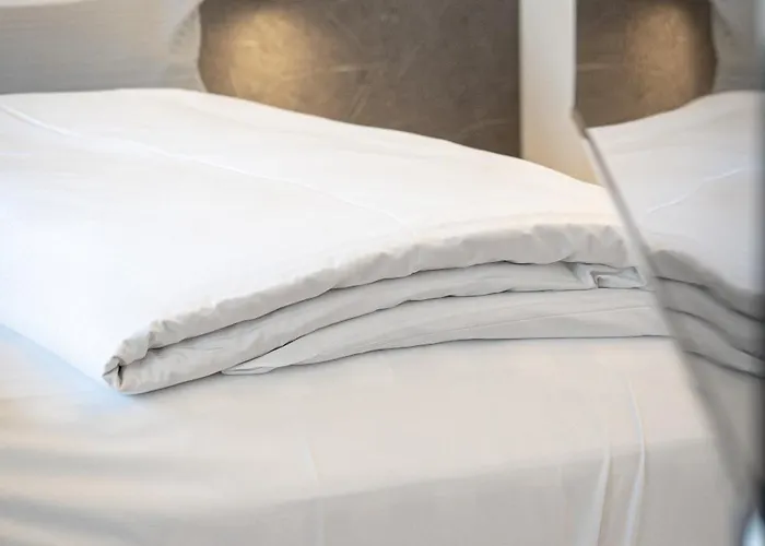 Hotel Maxim By Elias Holl 5*